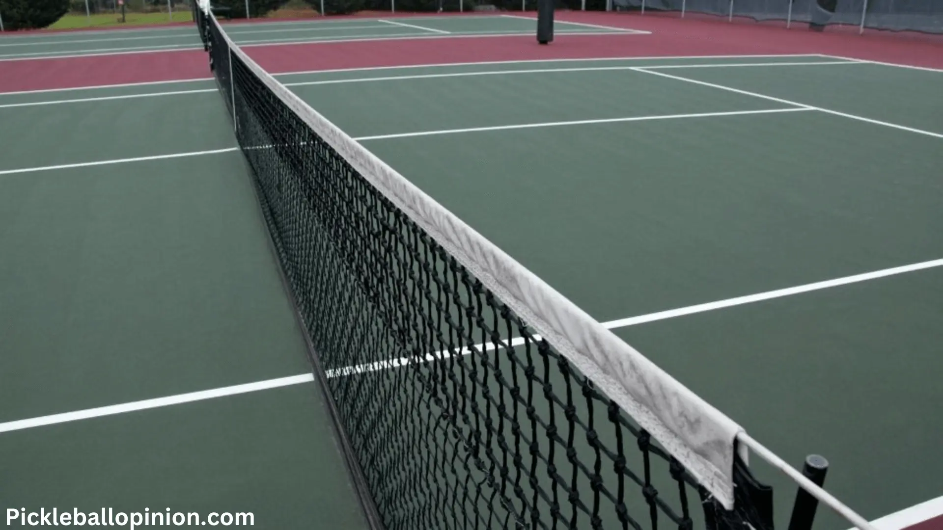 What Are New Changes in Pickleball Net Height 2023? A Detailed Explanation